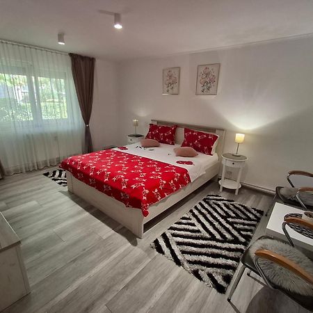 Apartament Claudia Deva Exteriér fotografie
